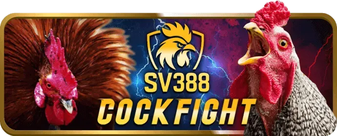 Video slot hiện đại 888new30
